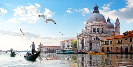 Gulls au-dessus du grand canal avec des mouettes volant au-dessus des conducteurs de gondole sur l’eau à côté d’un bâtiment italien et un ciel bleu