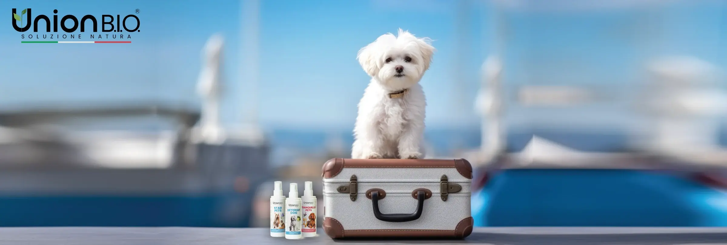 Grafiche_Web_MOBY-UNIONBIO_800x270